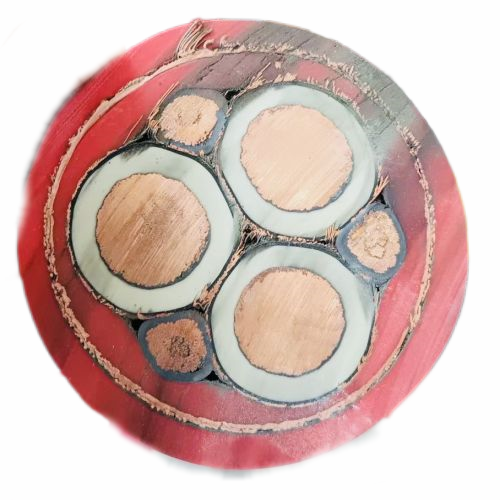 亚洲国产熟妇无码日韩