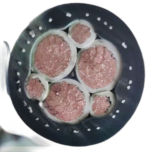 亚洲国产熟妇无码日韩