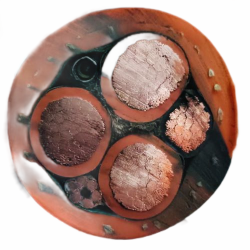 亚洲国产熟妇无码日韩