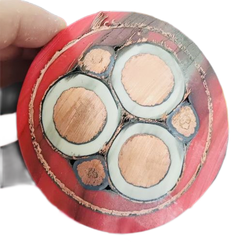 亚洲国产熟妇无码日韩