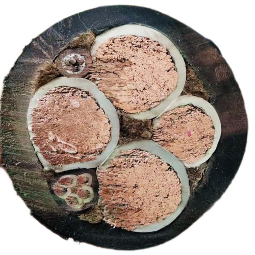 亚洲国产熟妇无码日韩