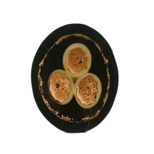 亚洲国产熟妇无码日韩