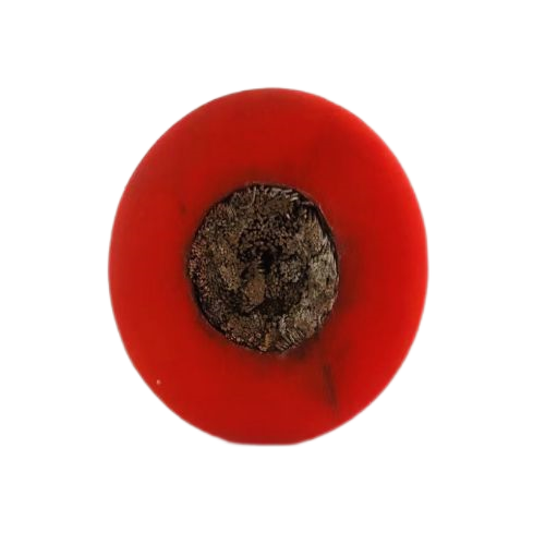 亚洲国产熟妇无码日韩